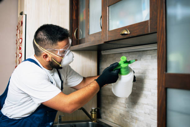 Best Bed Bug Extermination  in Saginaw, TX