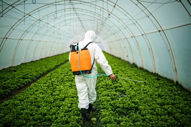Pest Control for Restaurants in Saginaw, TX