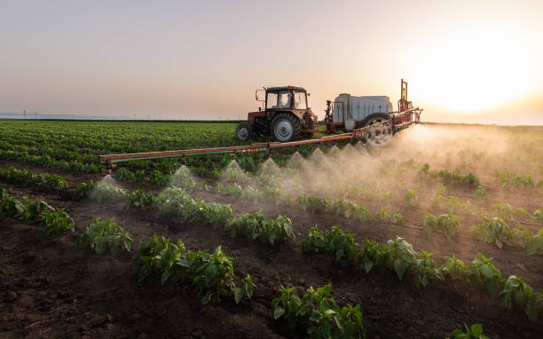 Best Pest Control Near Me  in Saginaw, TX