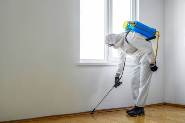 Best Affordable Pest Control Services  in Saginaw, TX