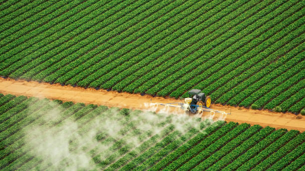 Pest Prevention Services in Saginaw, TX