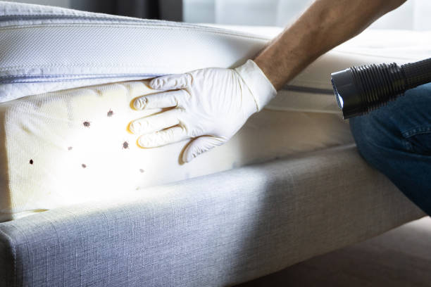 Best Pest Prevention Services  in Saginaw, TX