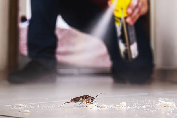Best Pest Control Near Me in Saginaw, TX