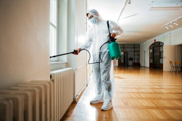 Best Affordable Pest Control Services  in Saginaw, TX