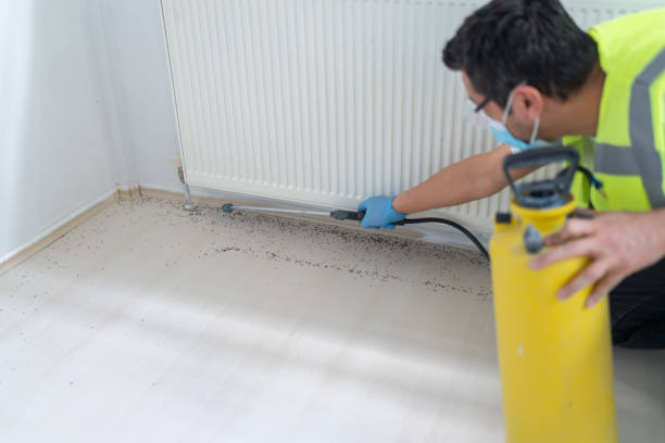 Best Emergency Pest Control  in Saginaw, TX