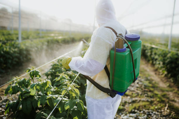  Saginaw, TX Pest Control Pros